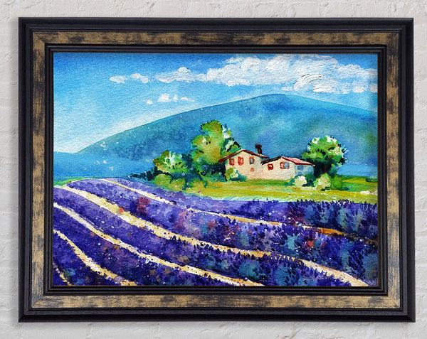 Lavender Fields In France Framed Print