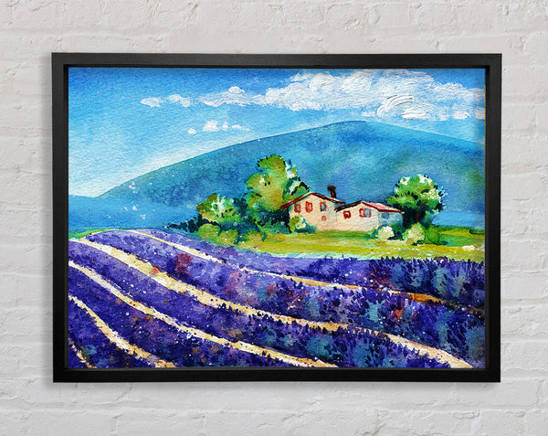 Lavender Fields In France Framed Print