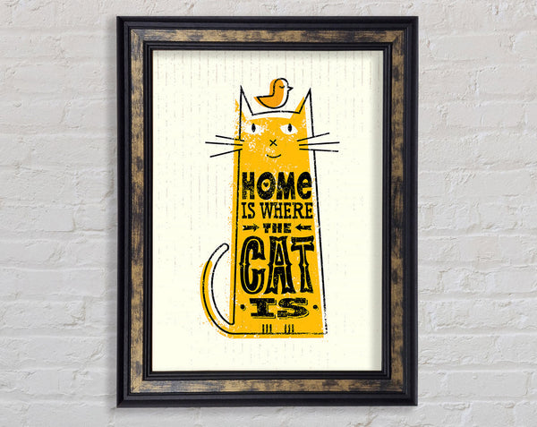 Home Is Where The Cat Is 2