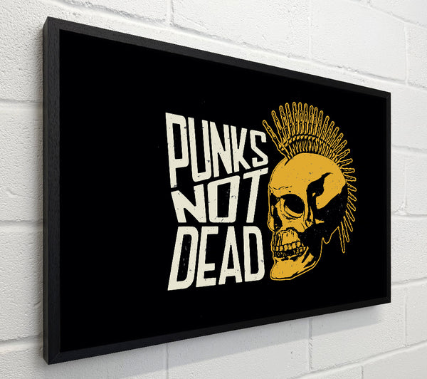 Punks Not Dead 1