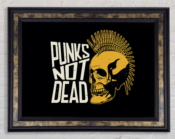 Punks Not Dead 1 Framed Print