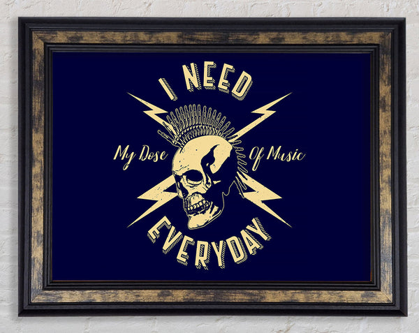 I Need My Dose Of Music Framed Print