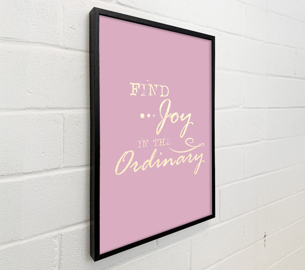 Find Joy In The Ordinary