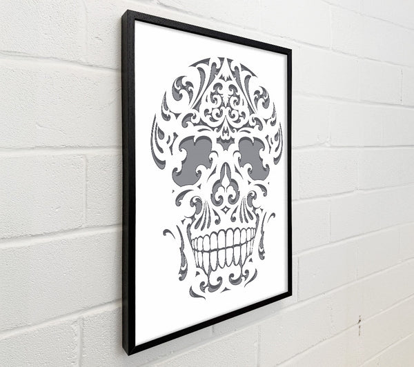 Mexican Grey Skull