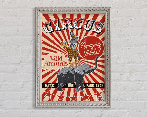 Circus Amazing Tricks Framed Print