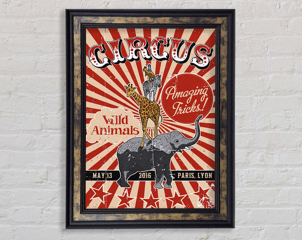 Circus Amazing Tricks Framed Print