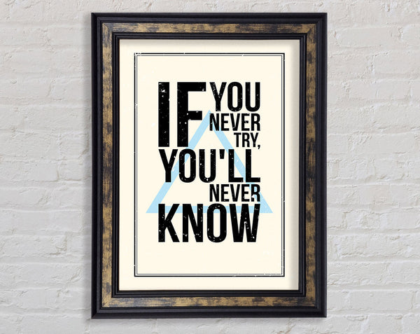 If You Never Try Framed Print