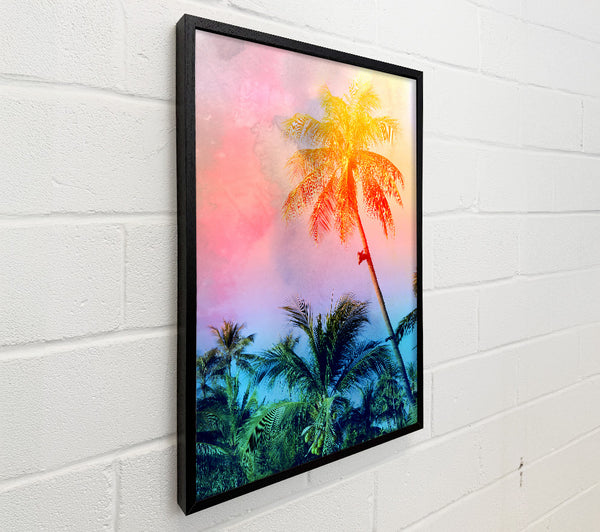 Palm Tree Blaze