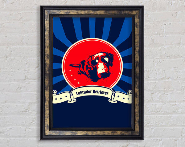 Labrador Retriever Framed Print