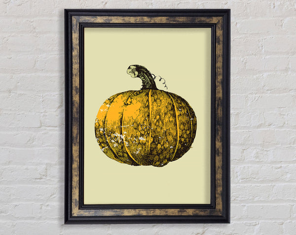 Pumkin Framed Print