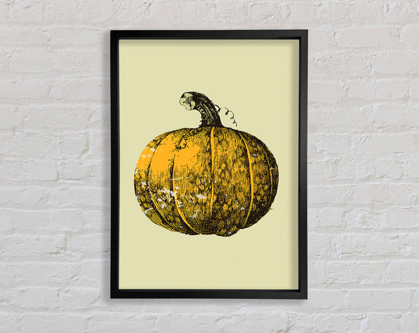 Pumkin Framed Print
