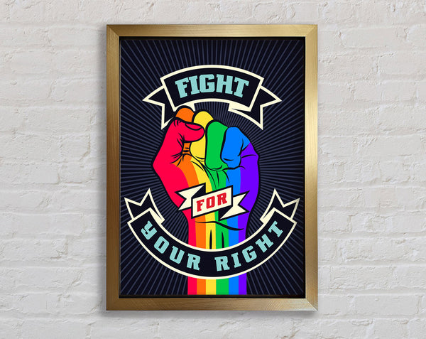 Fight For Your Right Framed Print