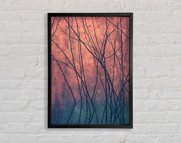Through The Winter Trees Framed Print