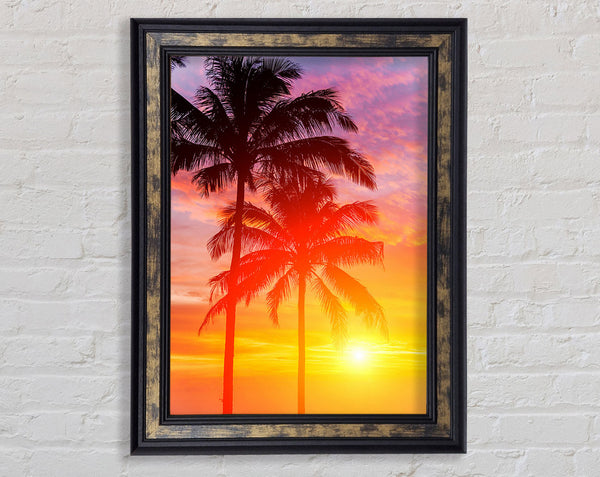 Sunset Palm Trees Framed Print