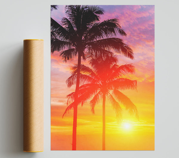 Sunset Palm Trees Poster