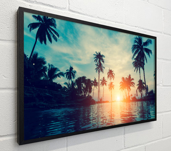 Palm Tree Waters