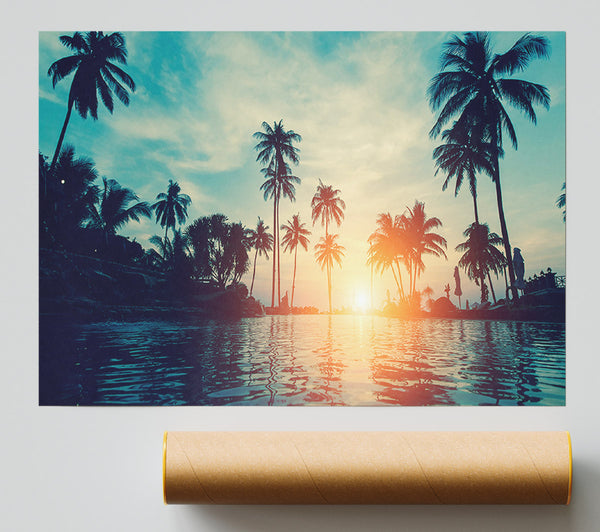 Palm Tree Waters Poster