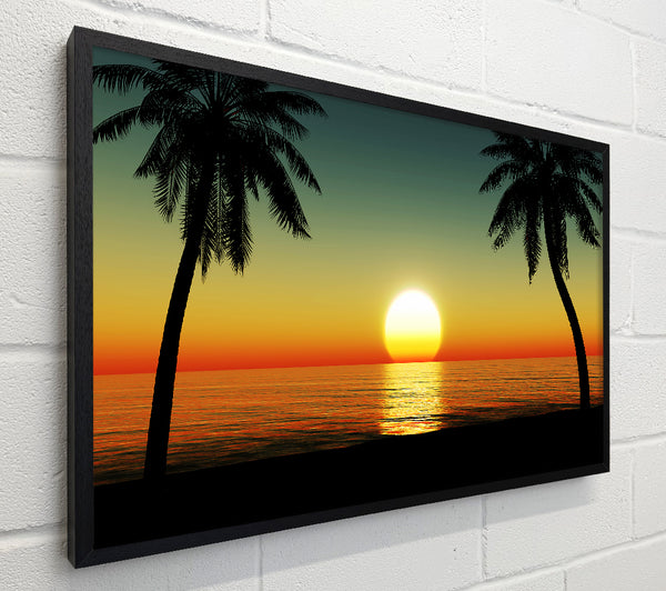 Palm Tree Bliss