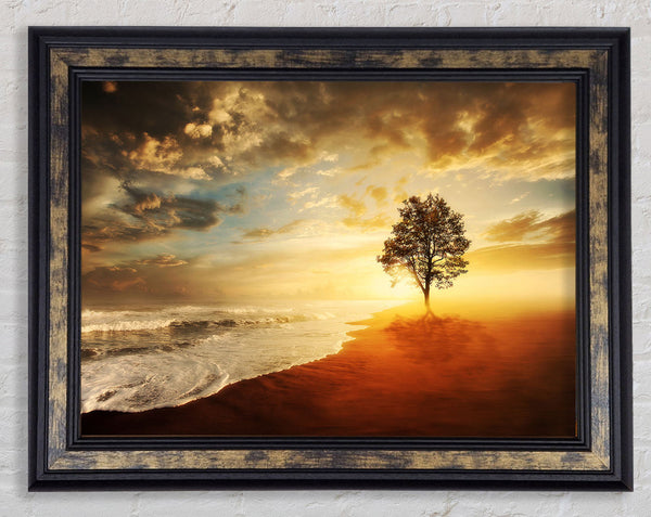 Reflections Of A Beach Tree Framed Print