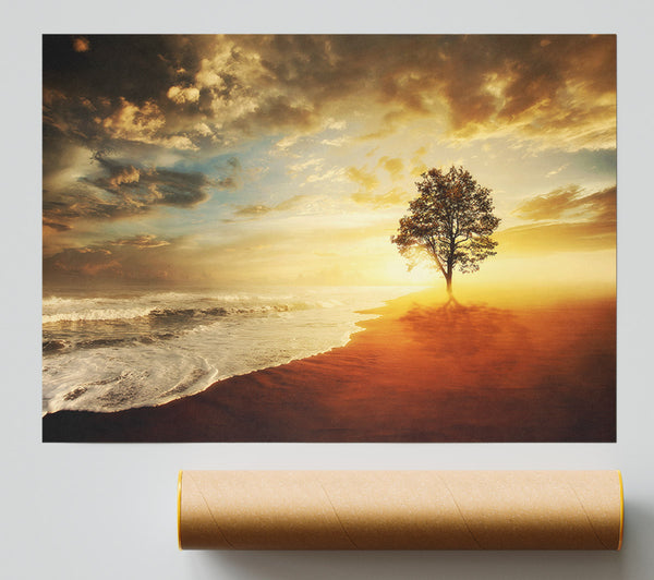 Reflections Of A Beach Tree Giclee Print
