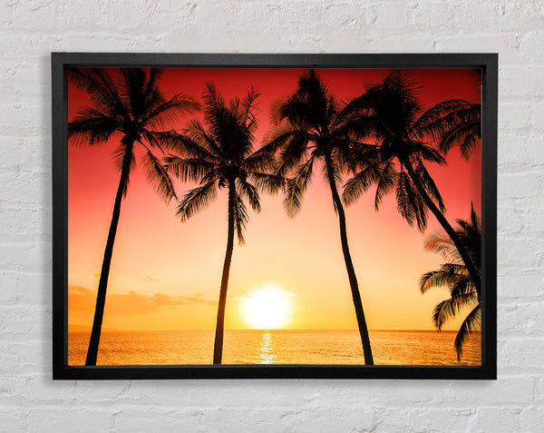 Sunset Between The Palm Trees Framed Print
