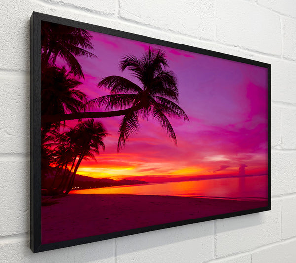 Perfect Pink Sunset Skies