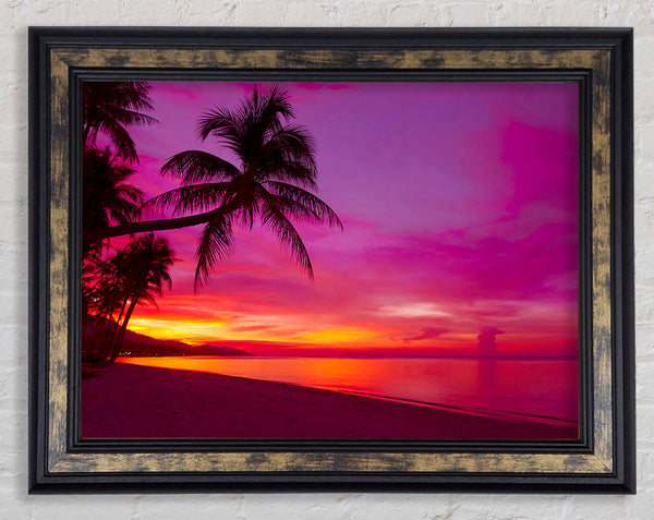 Perfect Pink Sunset Skies Framed Print