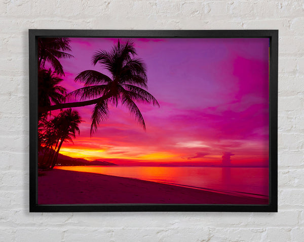 Perfekter rosa Sonnenuntergangshimmel
