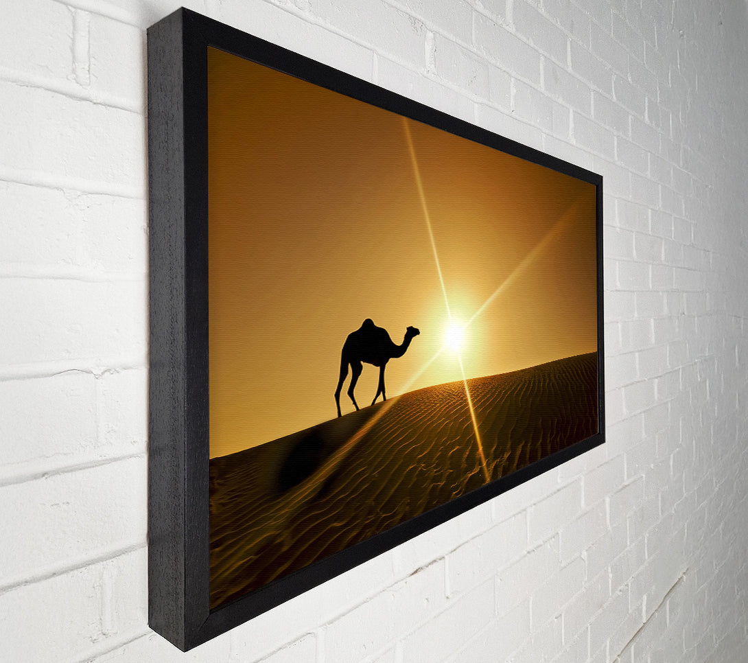  A Canvas Print of Desert Camel Canvas Art