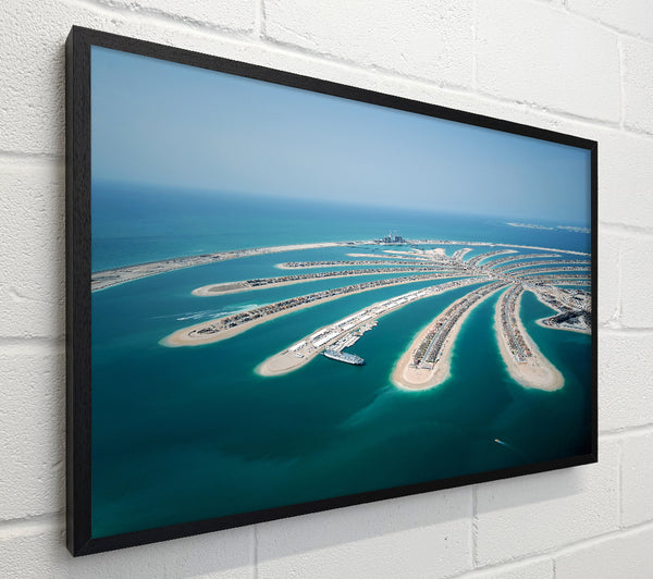 Palm Islands