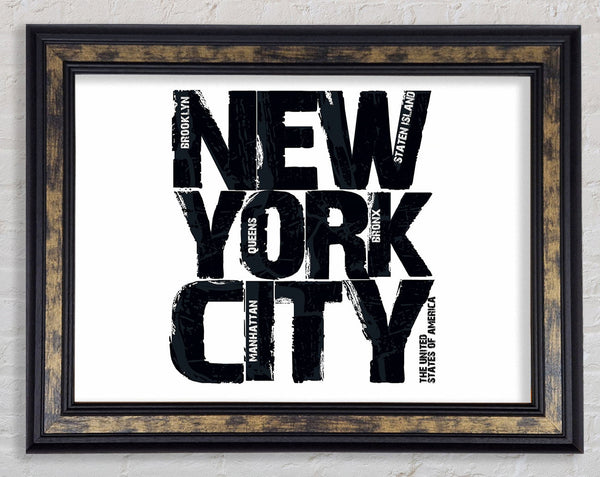 NYC Districts Framed Print