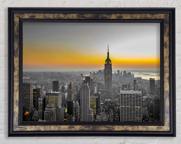 Golden Framed Print