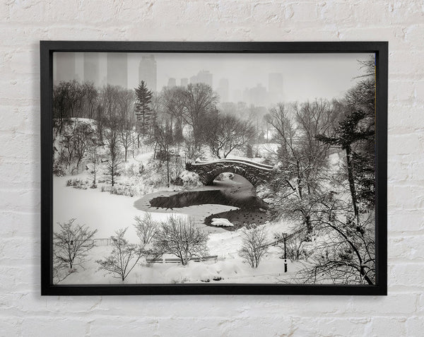 Es schneit im Central Park