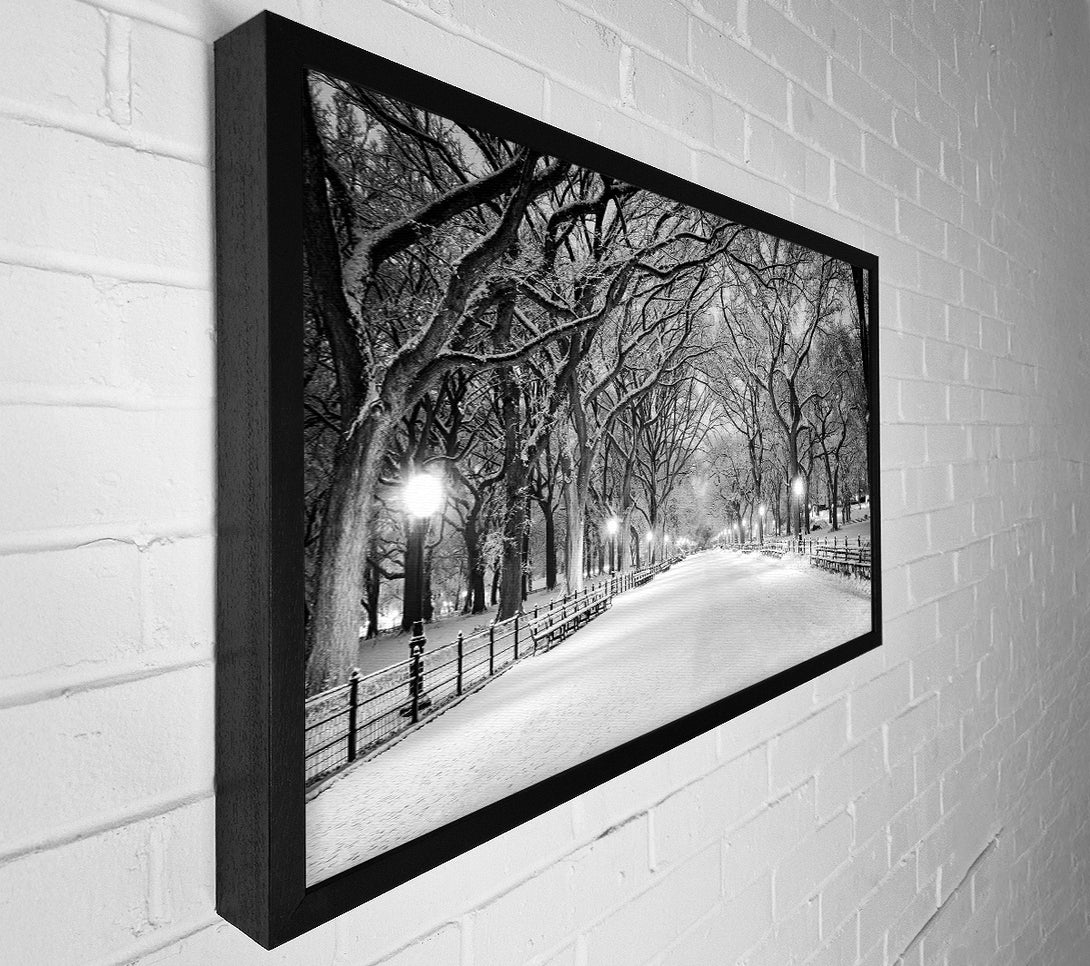  A Canvas Print of Winter Stroll Through Central Park Canvas Art