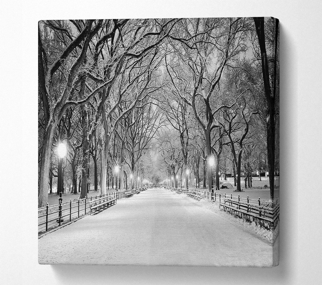  A Canvas Print of Winter Stroll Through Central Park Canvas Art