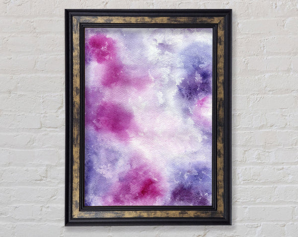 Carnation Wonder Framed Print