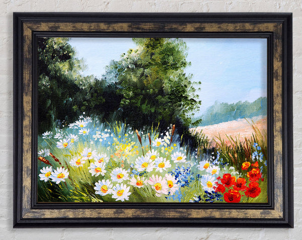Daisy Days Framed Print
