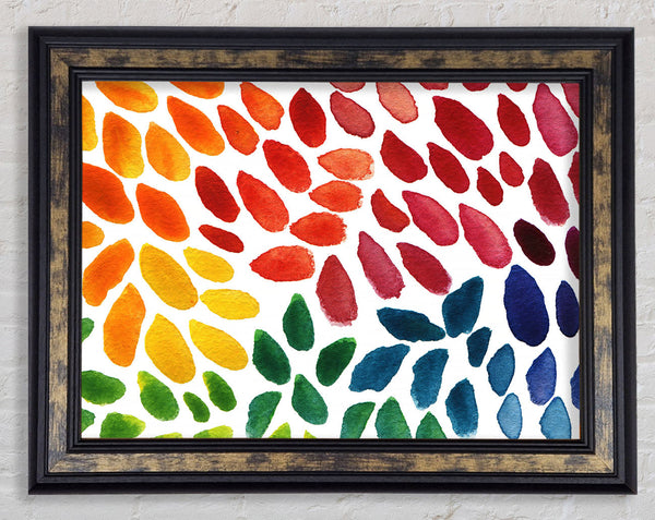 Four Seasons Framed Print
