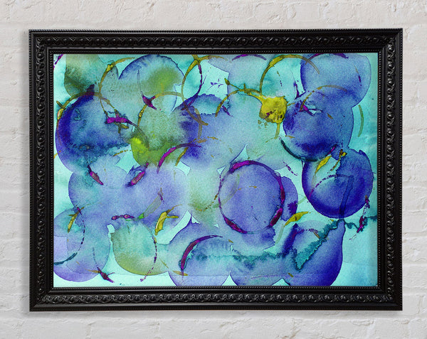 Blueberry Madness Framed Print