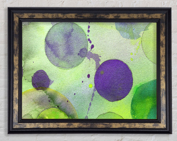 Blueberry Tree Framed Print