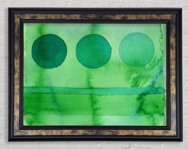 Forest Trees Framed Print