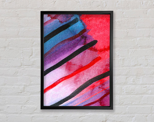 Wildlife Zebra Framed Print