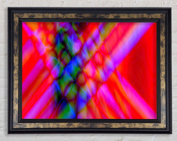 Crossing Paths Framed Print