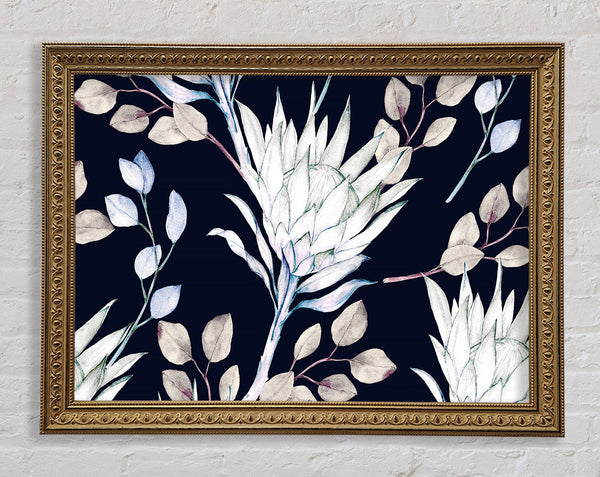 Looking For The Sun Framed Print