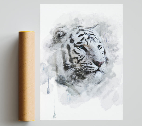 White Tiger Blue Eyes Poster