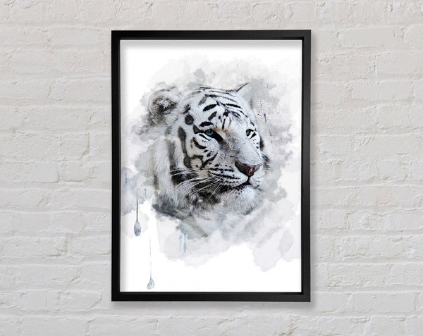 Weißer Tiger mit blauen Augen