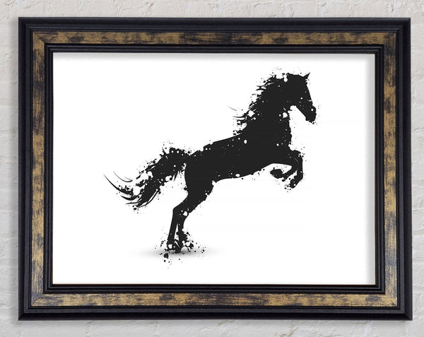 Stallion Horse Splendor Framed Print