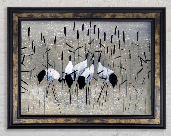 Bird Treat Framed Print