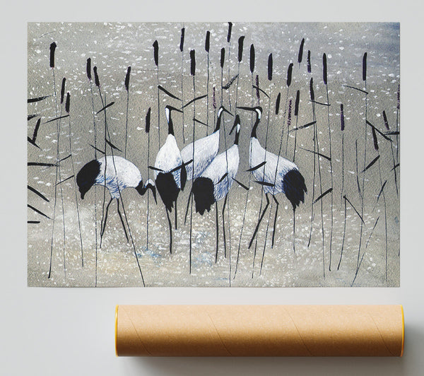 Bird Treat Poster