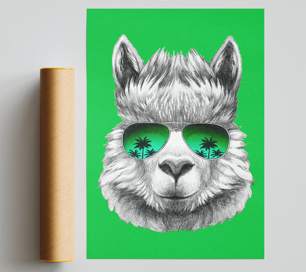 Llama Cool Poster